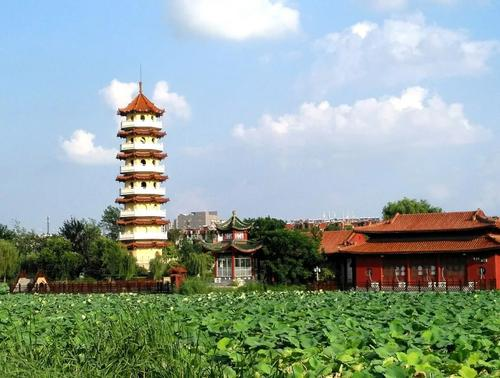 2019丰县gdp_丰县大圆球(3)