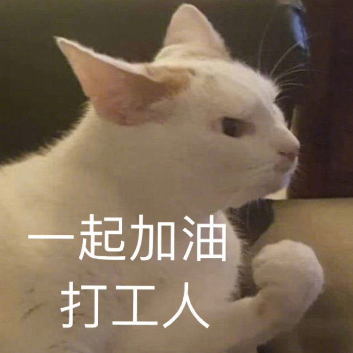 杀掉表情包:我看你就是玩不起