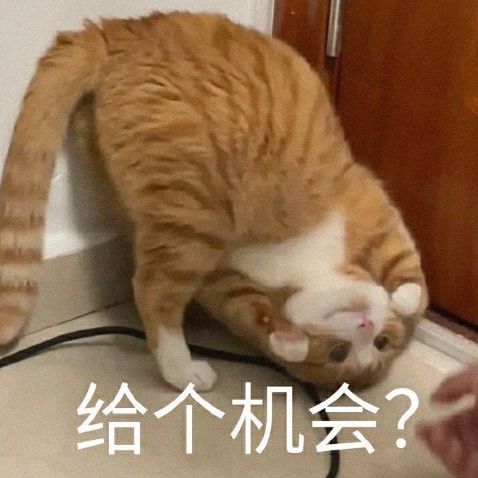 杀掉表情包:我看你就是玩不起
