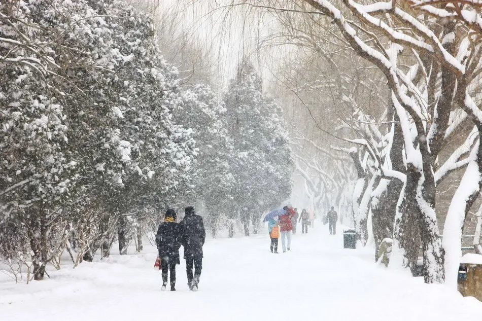 南阳真的下大雪了