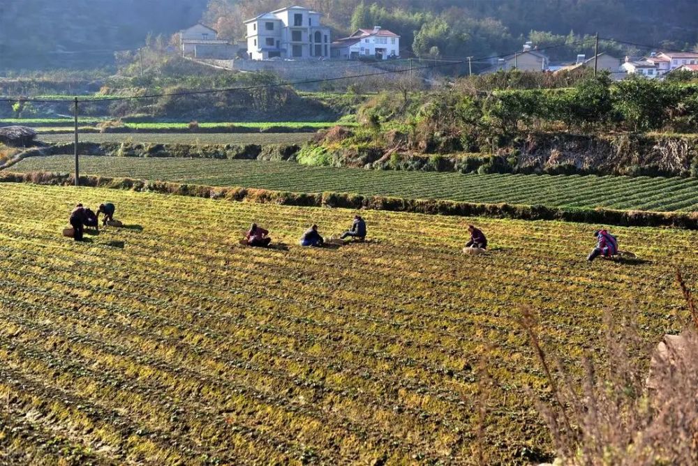 土地确权漏人口_国由土地人口军队领土