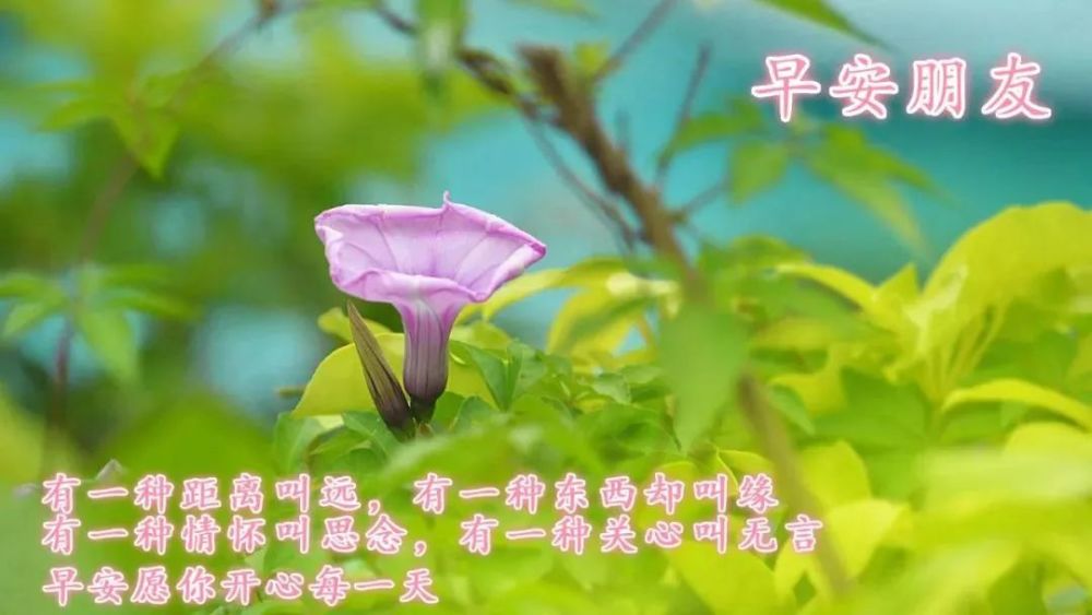 2021年早安语录,2021年经典语录 2021早安励志语录