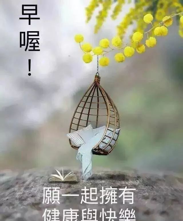 动态美图问候早安祝福暖心文字,早上好问候动态美图祝福经典