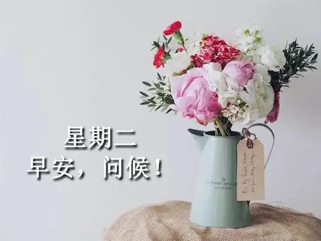 11张最新漂亮的美女早上好问候图片表情精选,冬日早安