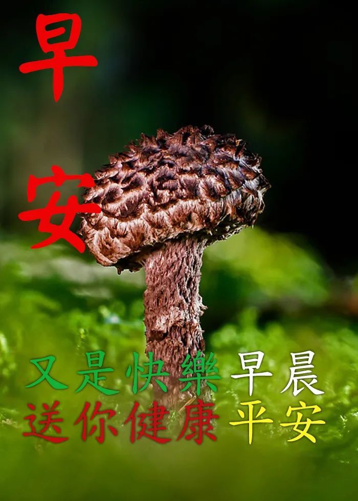 早安愉快祝福语大全 早安图片大全