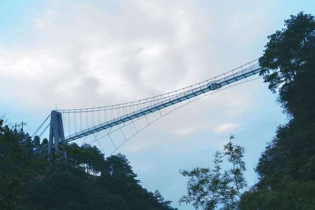 景区介绍:湖南省雪峰山森林公园位于湖南省洪江市东部雪峰山脉主峰