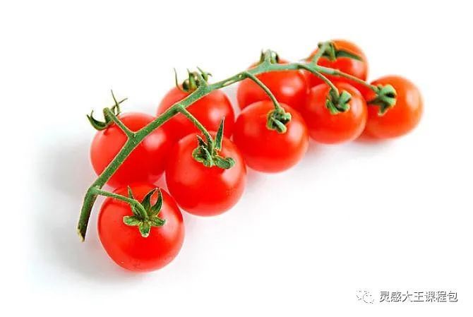 步骤一:首先在素描纸上用水粉笔蘸取墨绿色颜料画出圣女果的茎和叶子