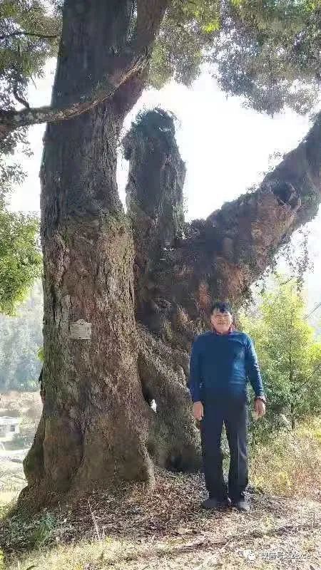 万载有多少人口_万载古城图片(3)