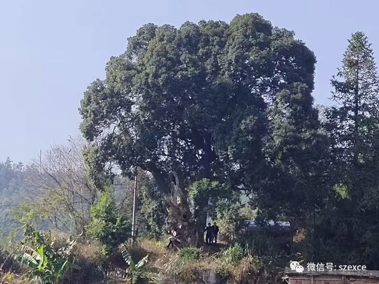 万载有多少人口_万载古城图片(3)