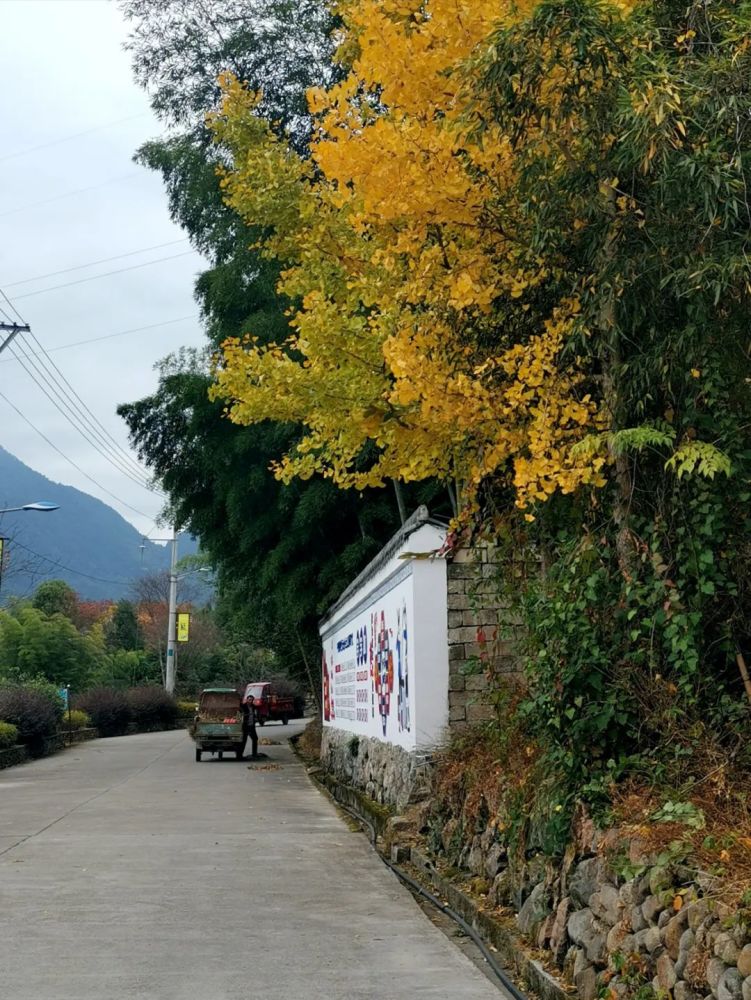 西演村位于庆元城东方向,东靠西演山,南连庆寿线,西临松源溪,北接庆百