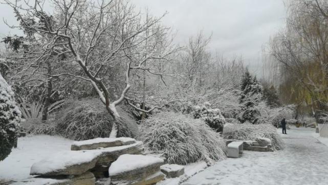 雪后大明湖,老舍笔下"济南的冬天"最美的样子来了