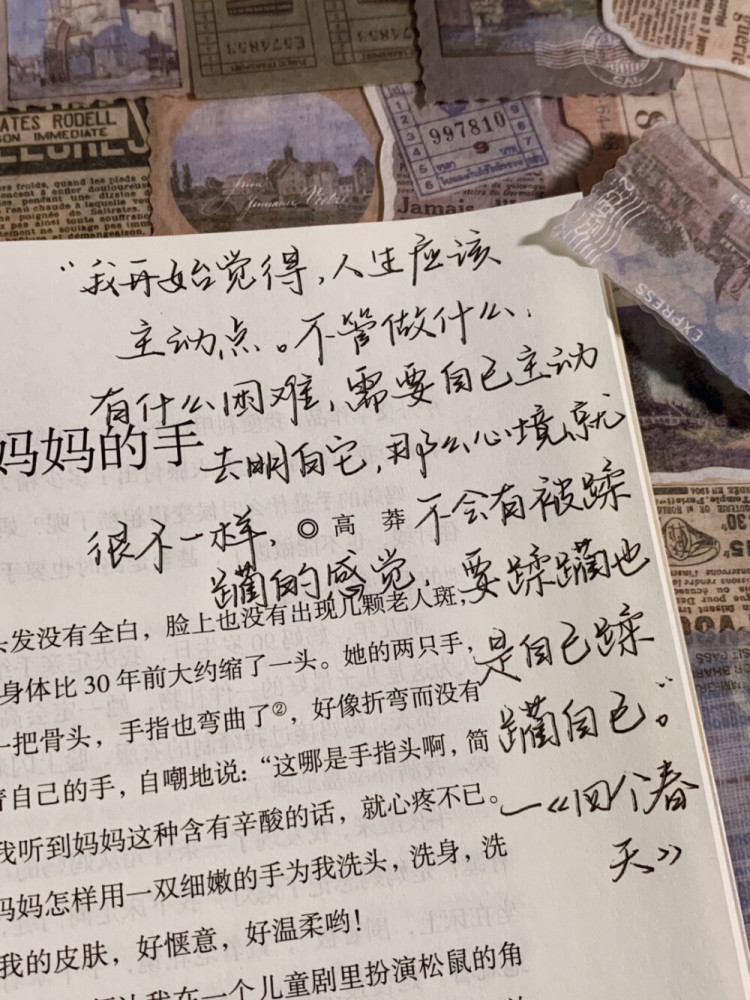 见过最温柔似神明的文案是什么