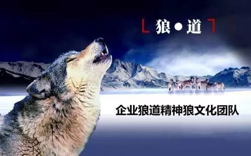 众所周知,华为是采取末位淘汰制和狼性文化的领头羊公司.
