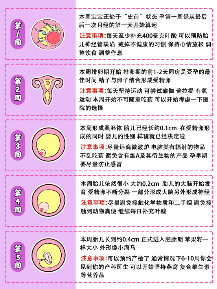 产检项目:血压,体重,宫底高度,腹围,多普勒听胎心,胎位,血常规,尿