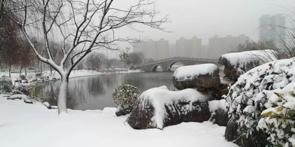 摄影:张亚清 下雪了 雪花飘来了吉祥和好运 雪天路滑,出行请注意