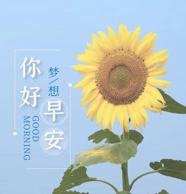 早安励志经典语录正能量 早上好图片带字正能量