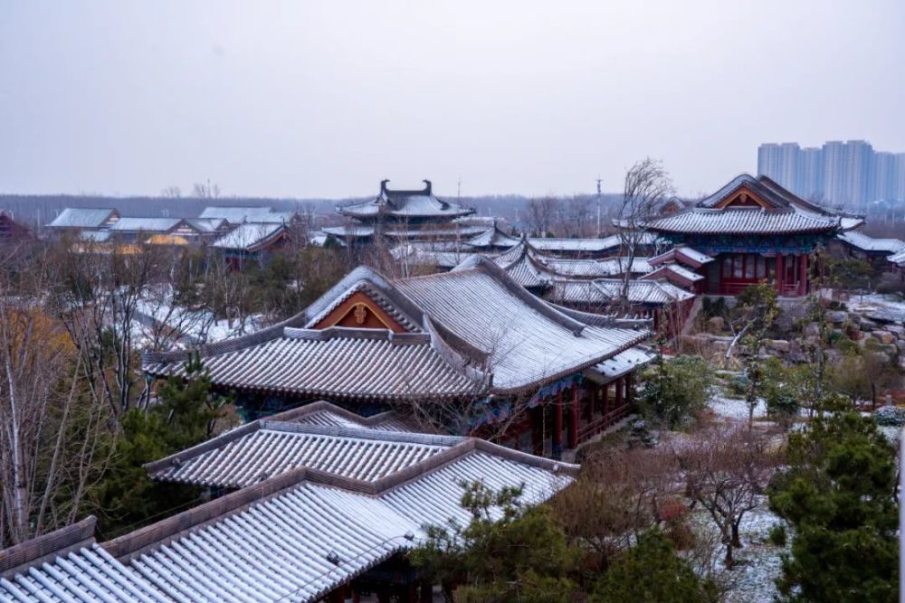 郑州园博园解锁雪景模式,太美啦!