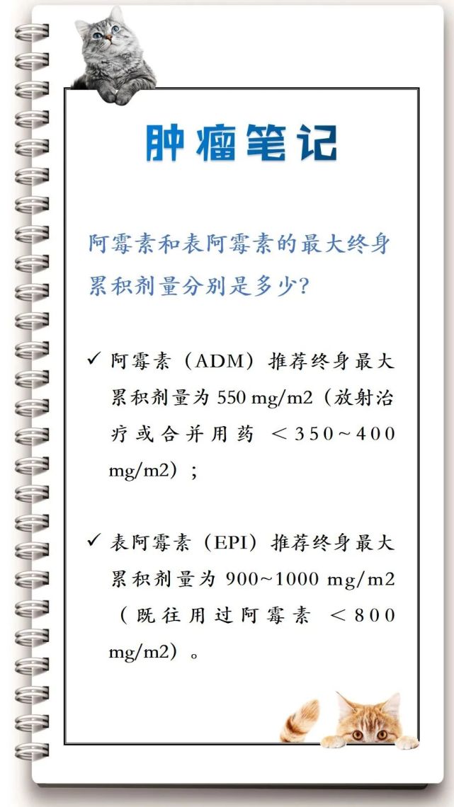 阿霉素和表阿霉素的最大终身累积剂量分别是多少