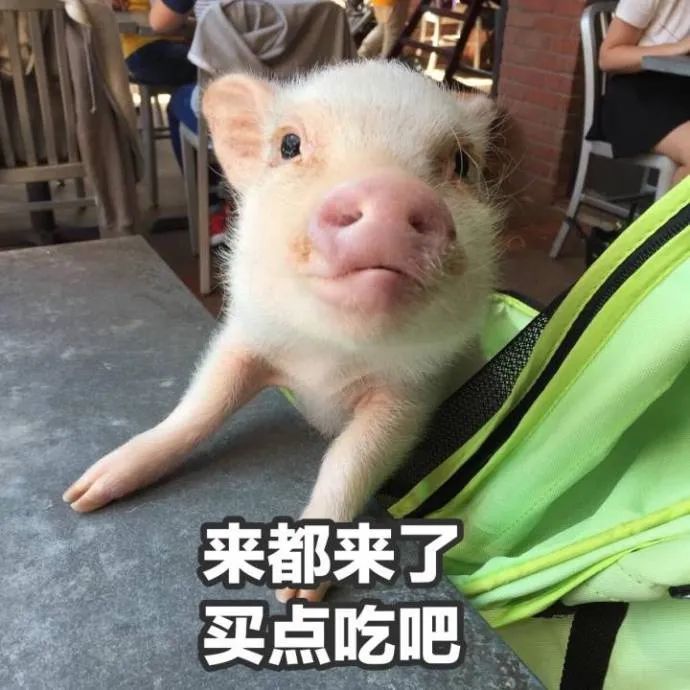 白白胖胖,充满希望 表情包系列