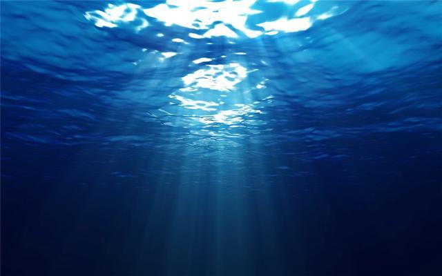 科学家深入马里亚纳海沟,发现深海生物