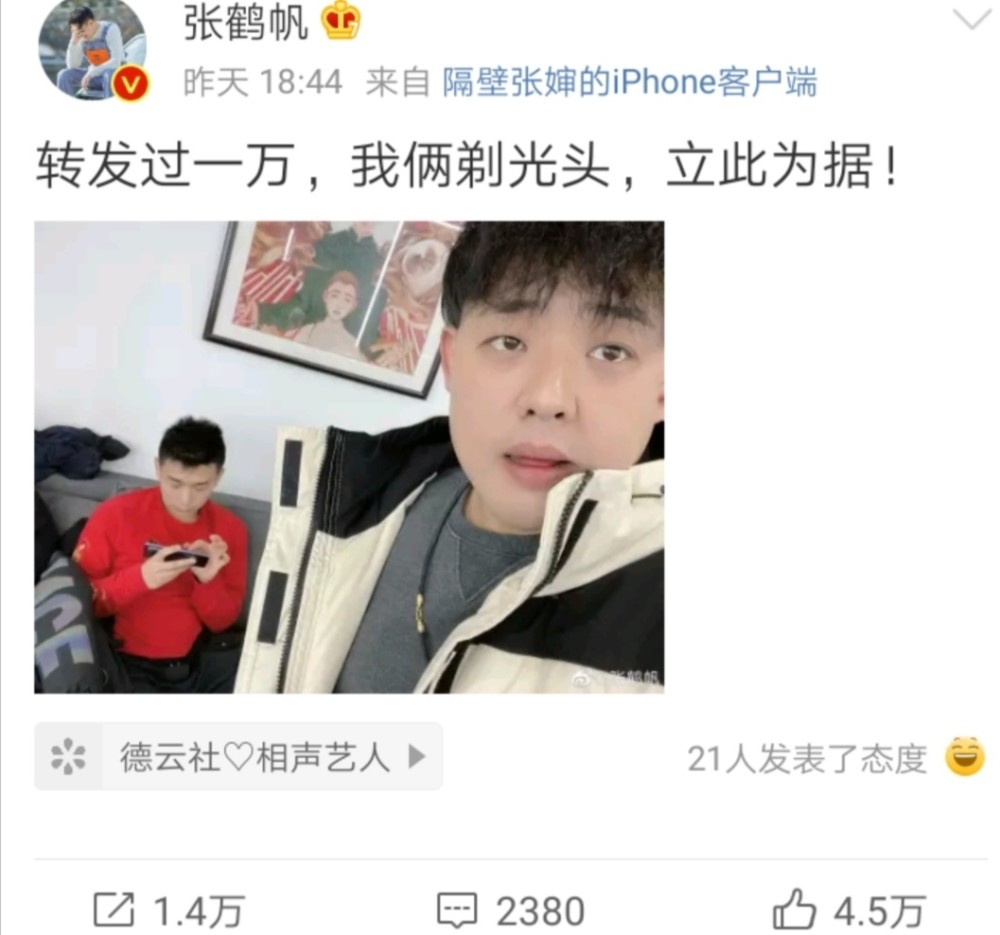德云社的发型大作战张鹤帆剃光头周九良烫回小卷毛