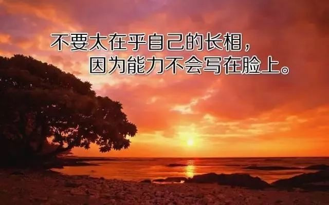 让自己内心强大的句子,句句哲理,受益匪浅!