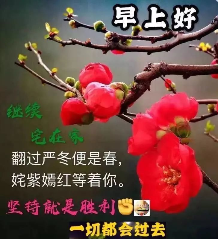 特别漂亮的早上好祝福美图 早安问候暖句子