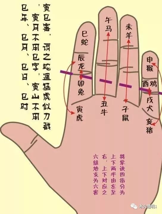 地支六害掌诀图示地支六合掌诀图示地支六冲掌诀图示地支三会掌诀图示