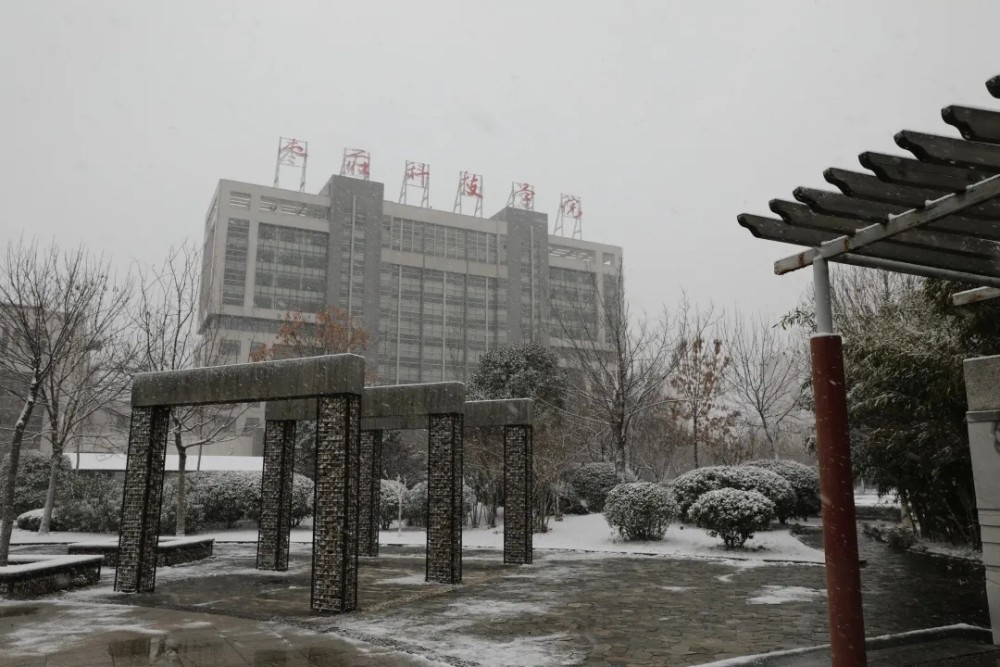 枣庄科技职业学院:冬日踏雪记