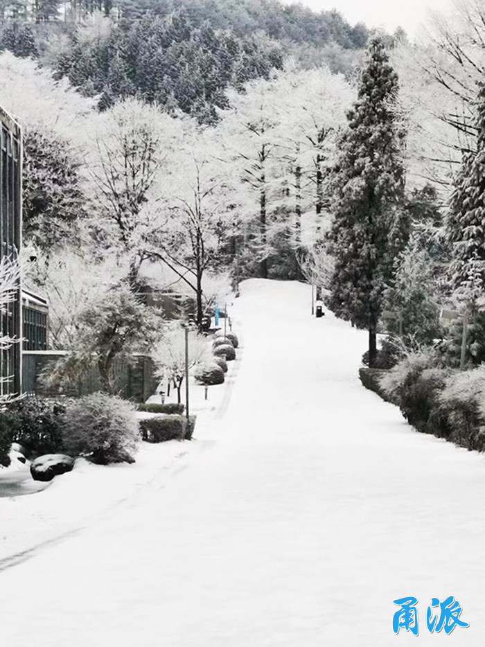 四明山已银装素裹,一波雪景图来了!