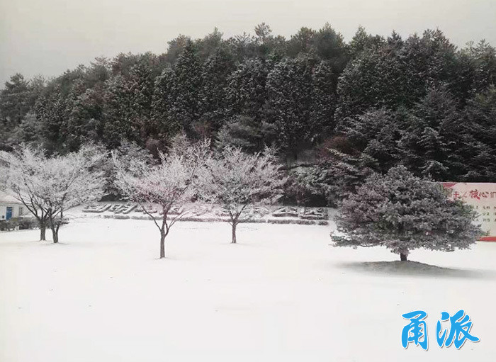 四明山已银装素裹,一波雪景图来了!