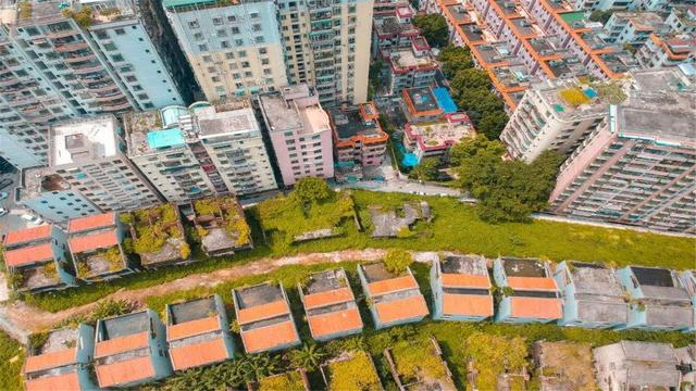 深圳市龙岗区双龙人口_深圳市龙岗区地图全图(3)