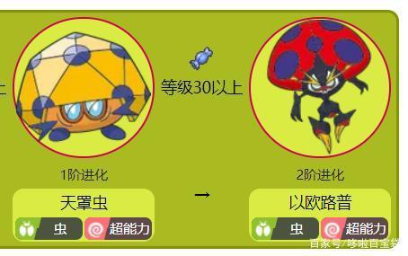 进化了身高却一点没变的三种宝可梦大葱鸭就是漂了个白吧