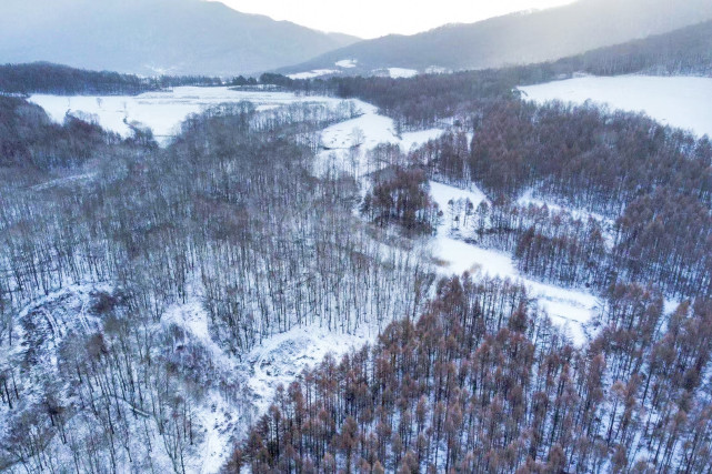 在二合雪乡的时间不多,就过了一个晚上,体验了真实地道的东北屯生活.