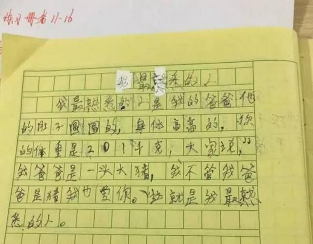 不什么堪什么成语_斯堪尼亚p310什么意思(2)