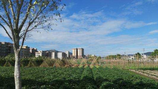 广东揭阳市未来gdp怎么样_广东揭阳市地图