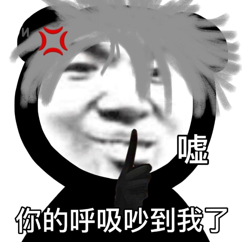 沙雕熊猫表情包:我是保安