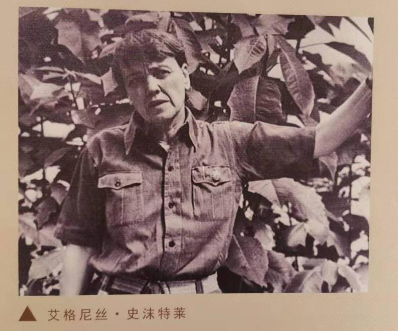 著名美国记者艾格尼斯·史沫特莱,就曾居住在此.