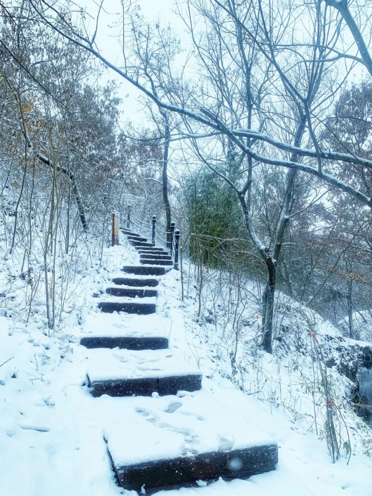 超美的马陵山"新鲜"雪景图来啦!各景点神仙颜值大赏～_腾讯新闻