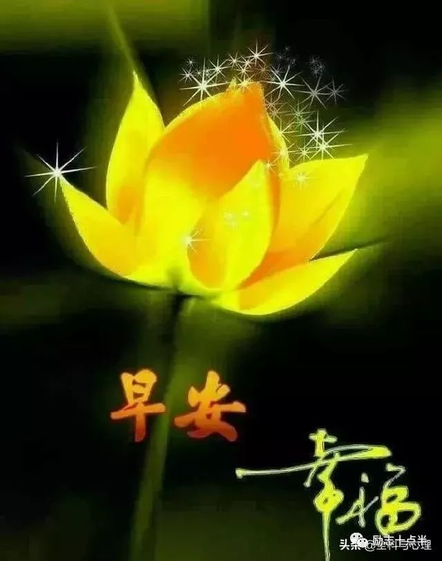 亲爱的,早上好!每天的问候,是心语,是情谊,更是关心和