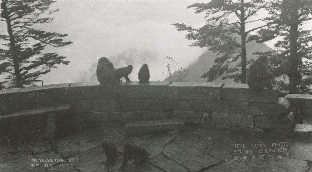 民国老照片:1937年的峨眉山,难怪被选为普贤菩萨的道场