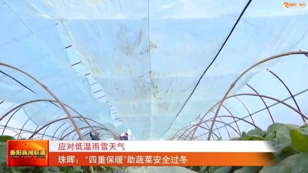 珠晖区人口_珠晖区曹绍平老家(2)