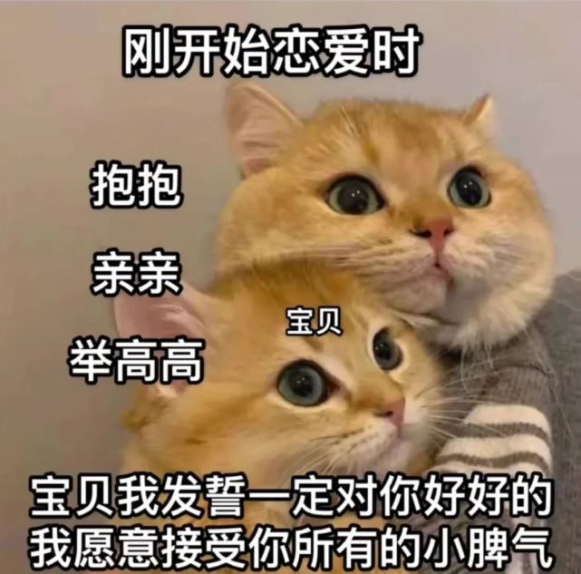 抖音热门表情包|我大名叫老婆,小名叫宝贝