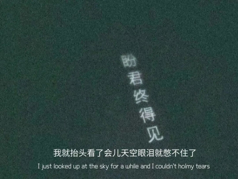 "那些极度催泪的网易云扎心热评"