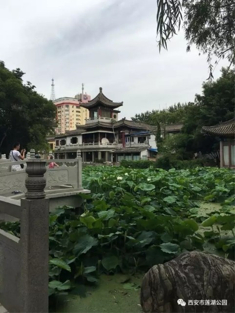 西安市第一座现代意义上的公园,莲湖公园始建之谜