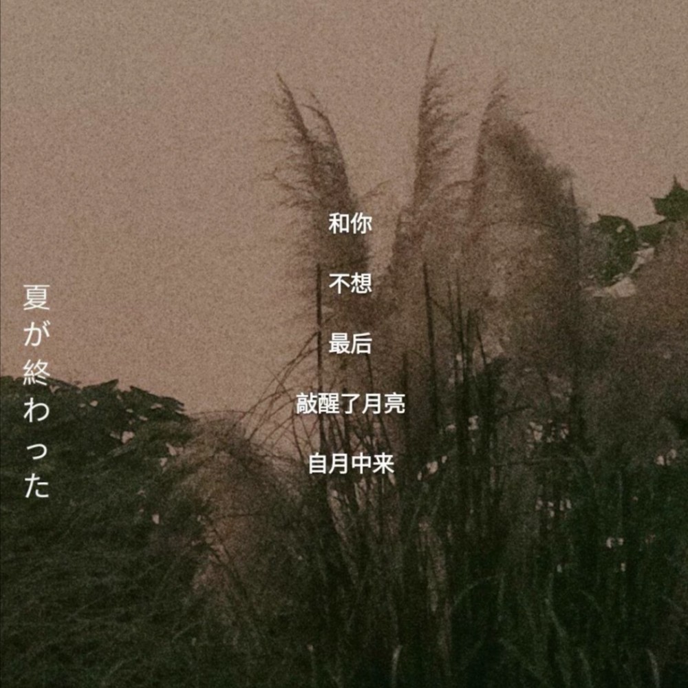 ins风小众网名星星蓄满的摇篮里总挂着你的温柔