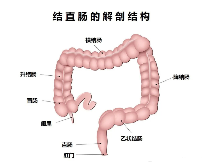 提醒:这些人最好在肠癌筛查上花一笔,别等癌症走近才后悔!