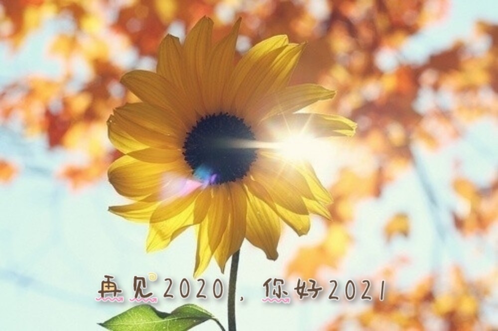 2020年最后一天想要说的话