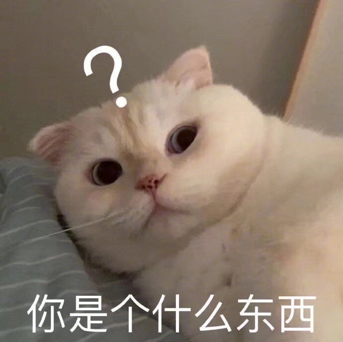 萌宠表情包:最近有点馋,特别想你!