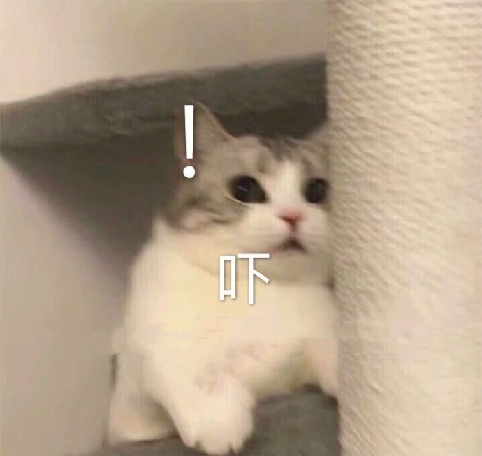 萌宠表情包:摸摸头,小乖乖!